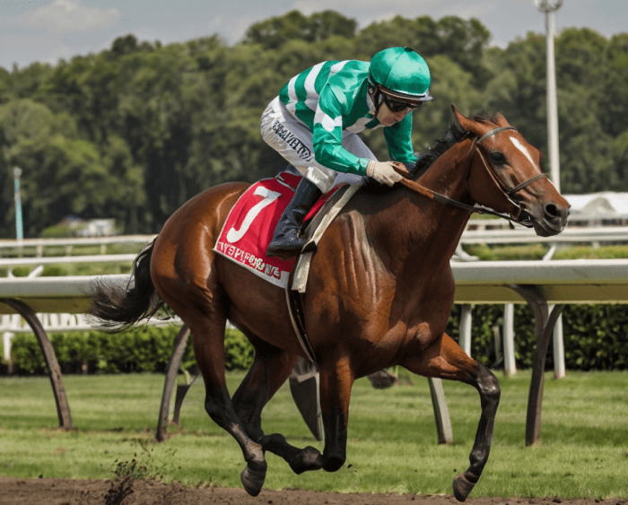 Champion hippique — Antoine Lefèvre